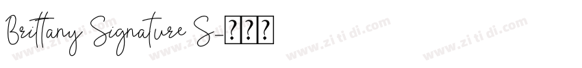 Brittany Signature S字体转换